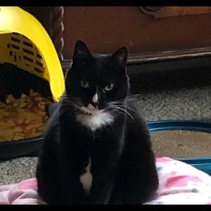 Meet your Posher, Jan